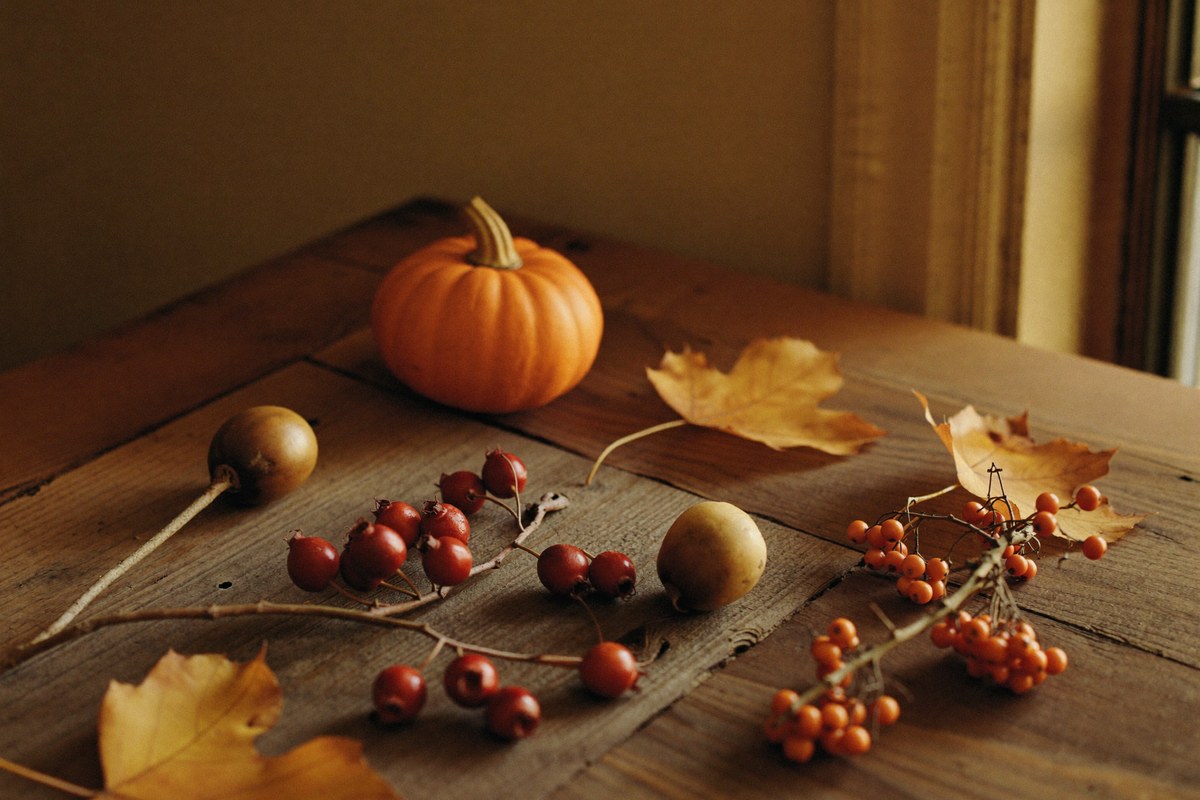 Herbstliche Pflanzen: Kürbis, Hagebutte und Sanddorn